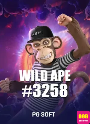 Experiência de Jogos 98b.com